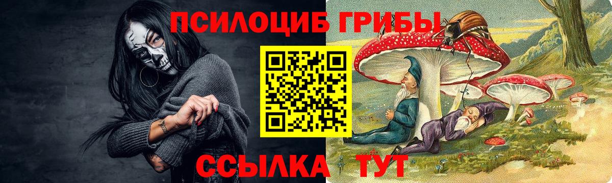 Отрадный  Псилоцибиновые грибы MAGIC MUSHROOMS  Вход с VPN 